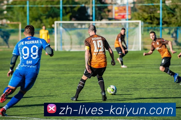 开云体育平台生态图